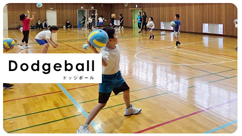 ニュースポーツクラブ